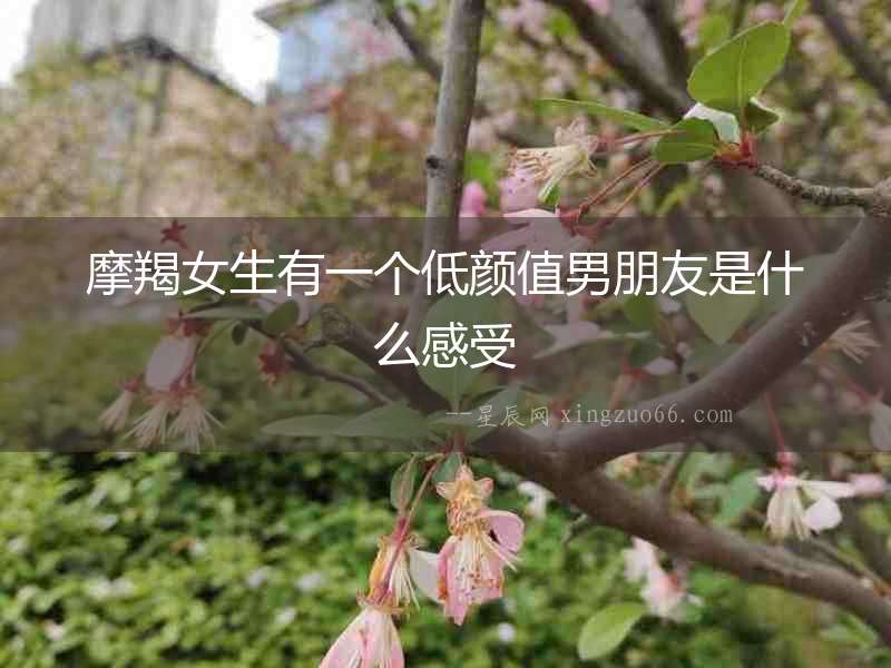 摩羯女生有一個低顏值男朋友是什么感受