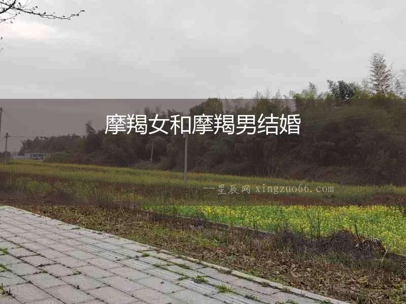 摩羯女和摩羯男結(jié)婚