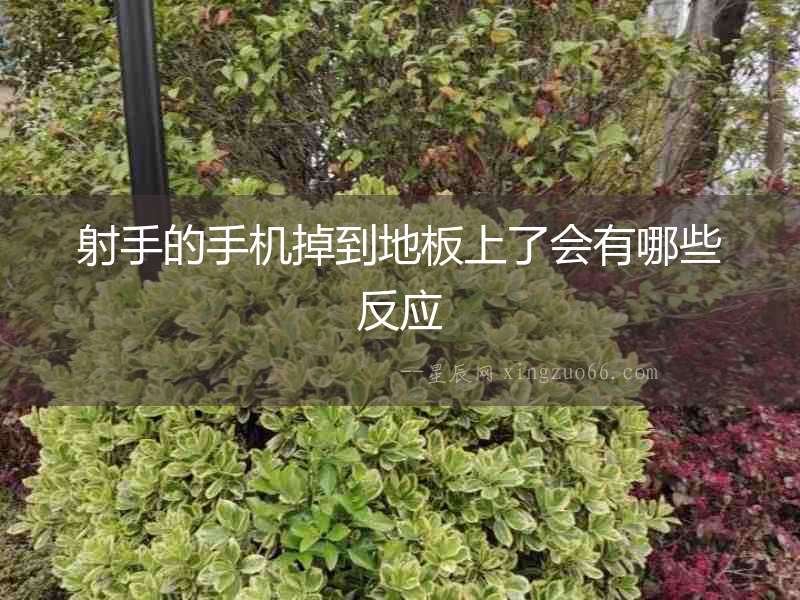 射手的手機(jī)掉到地板上了會(huì)有哪些反應(yīng)