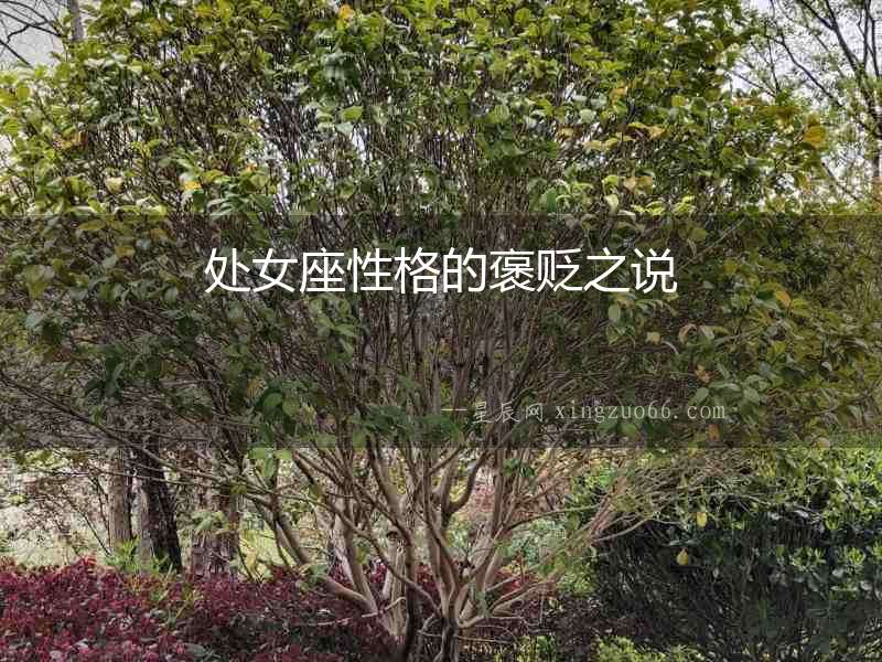 處女座性格的褒貶之說
