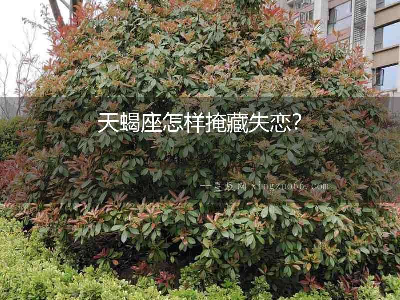 天蝎座怎樣掩藏失戀？