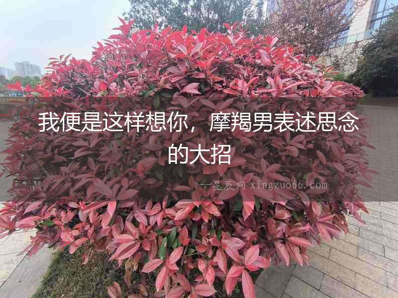 我便是這樣想你，摩羯男表述思念的大招
