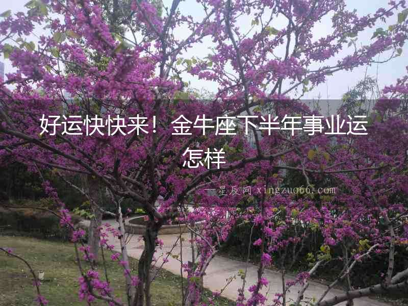 好運快快來！金牛座下半年事業運怎樣