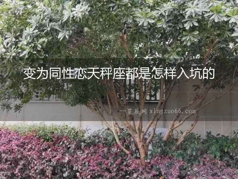 變為同性戀天秤座都是怎樣入坑的