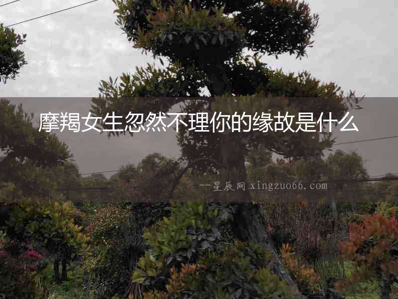 摩羯女生忽然不理你的緣故是什么