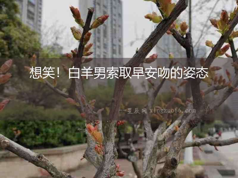 想笑！白羊男索取早安吻的姿態