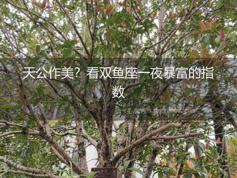 天公作美？看雙魚座一夜暴富的指數(shù)