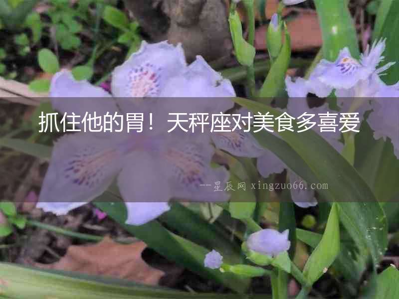 抓住他的胃！天秤座對美食多喜愛