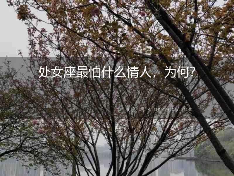 處女座最怕什么情人，為何？