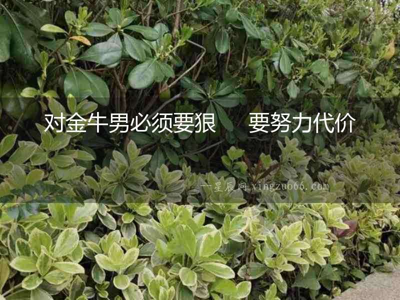 對(duì)金牛男必須要狠     要努力代價(jià)