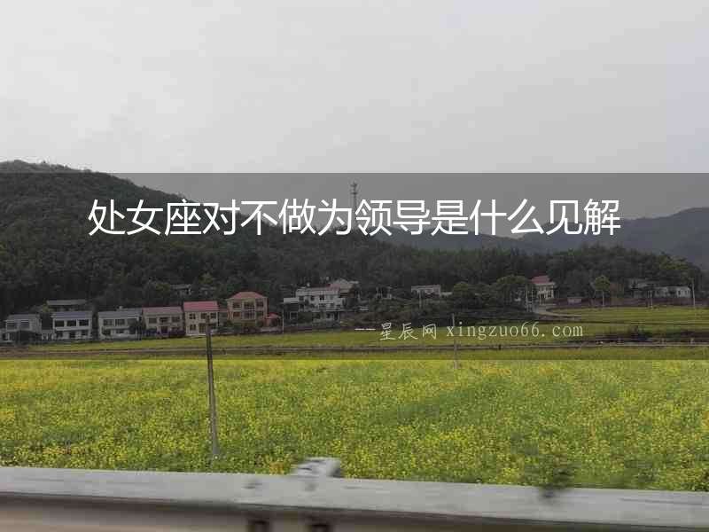 處女座對不做為領導是什么見解