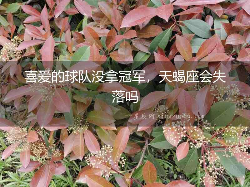 喜愛的球隊沒拿冠軍，天蝎座會失落嗎