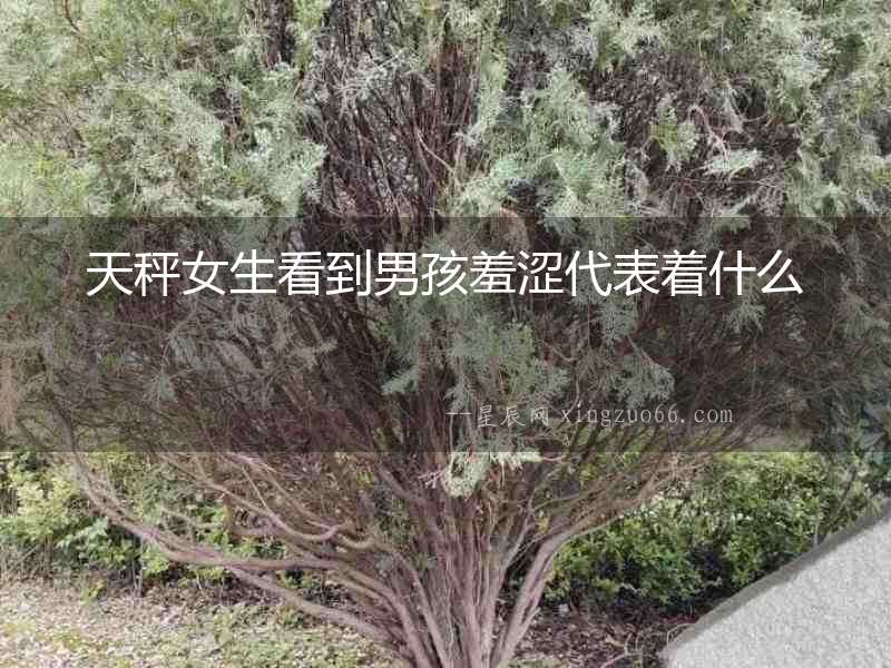 天秤女生看到男孩羞澀代表著什么