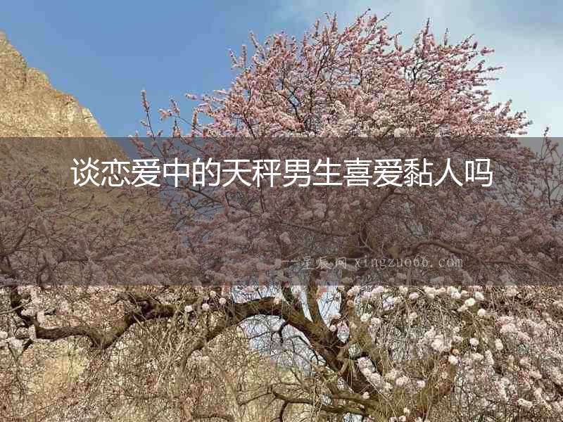 談戀愛(ài)中的天秤男生喜愛(ài)黏人嗎