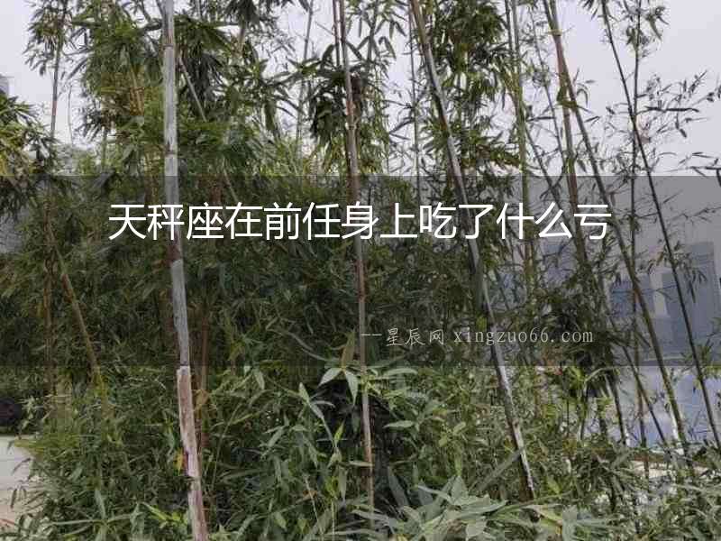 天秤座在前任身上吃了什么虧