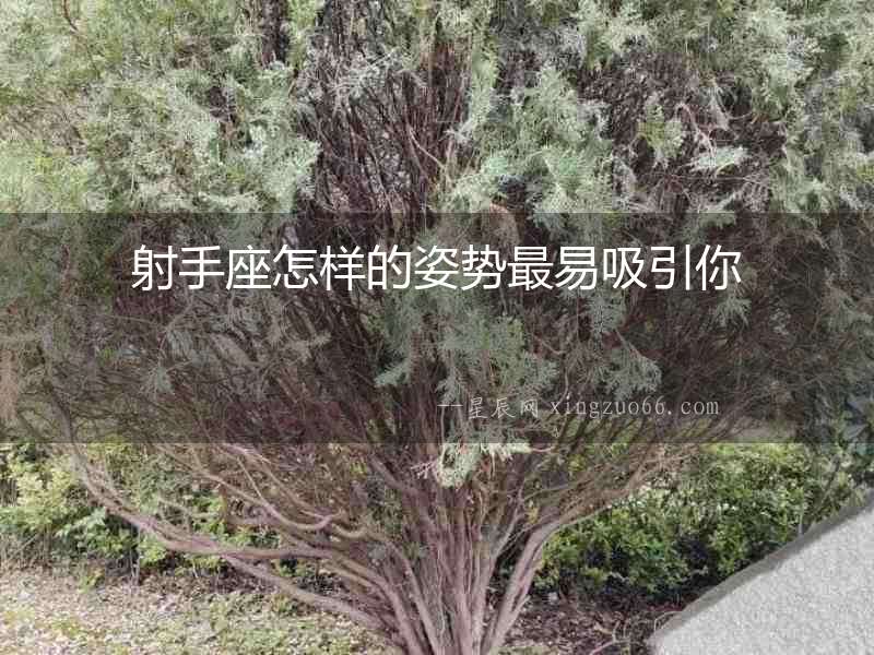 射手座怎樣的姿勢(shì)最易吸引你