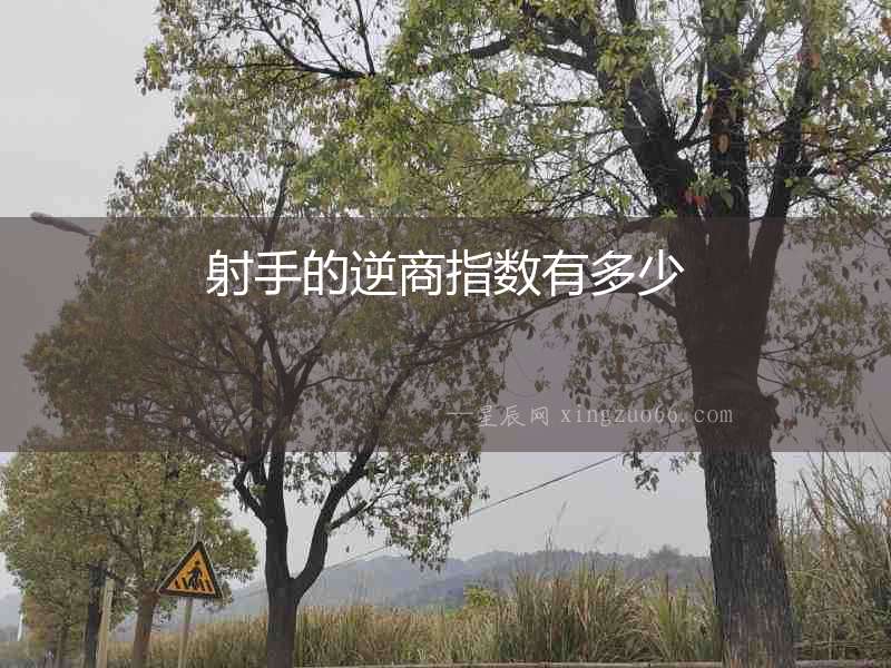 射手的逆商指數(shù)有多少