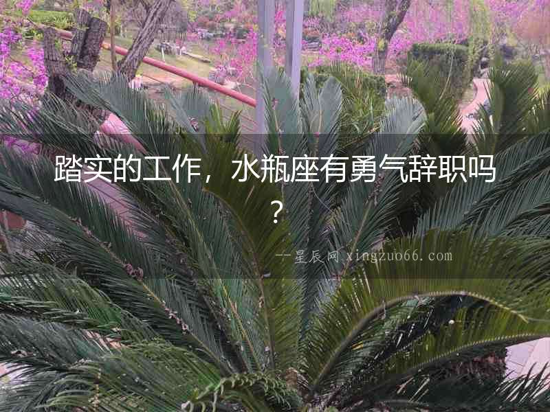 踏實(shí)的工作，水瓶座有勇氣辭職嗎？