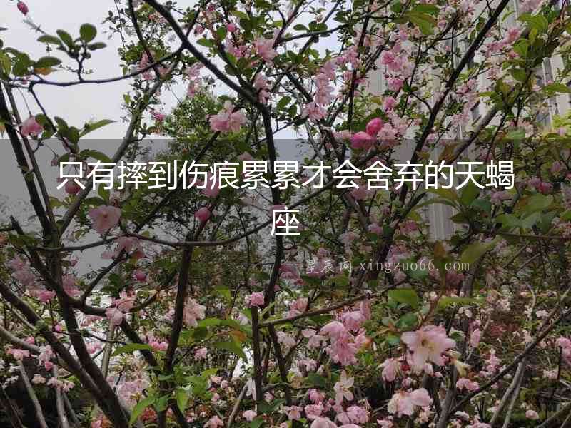 只有摔到傷痕累累才會舍棄的天蝎座