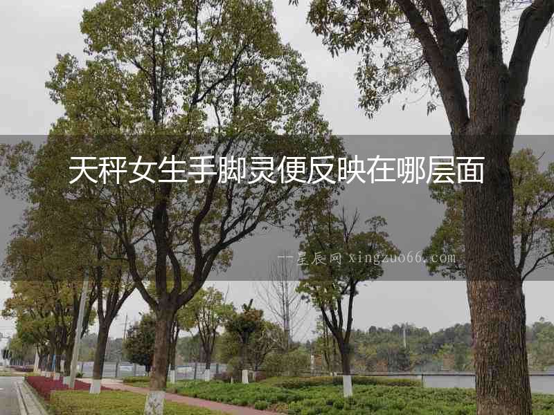 天秤女生手腳靈便反映在哪層面