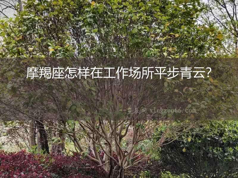 摩羯座怎樣在工作場所平步青云？