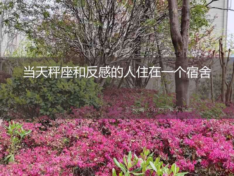 當天秤座和反感的人住在一個宿舍