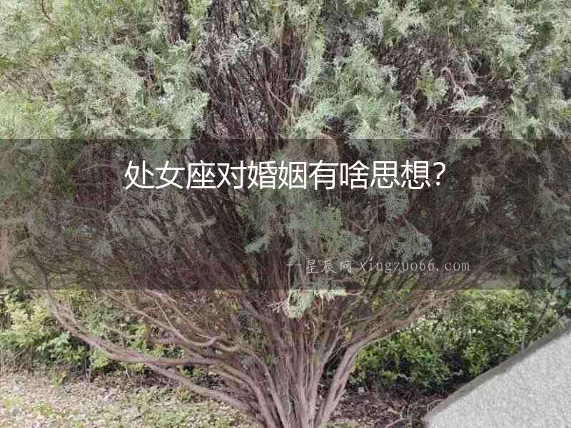 處女座對婚姻有啥思想？