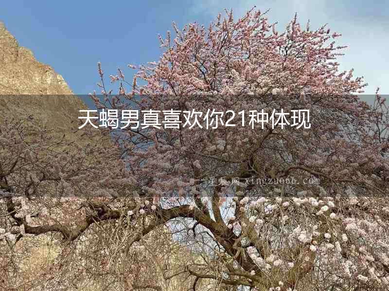 天蝎男真喜歡你21種體現