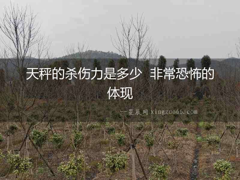天秤的殺傷力是多少  非常恐怖的體現
