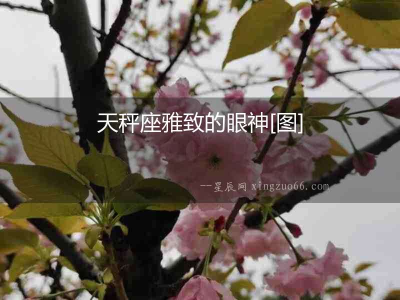 天秤座雅致的眼神[圖]
