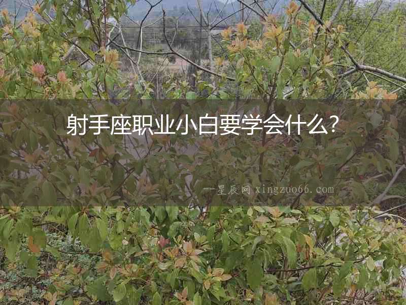 射手座職業(yè)小白要學(xué)會什么？