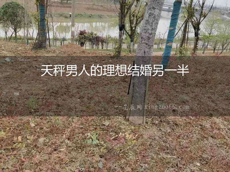 天秤男人的理想結婚另一半