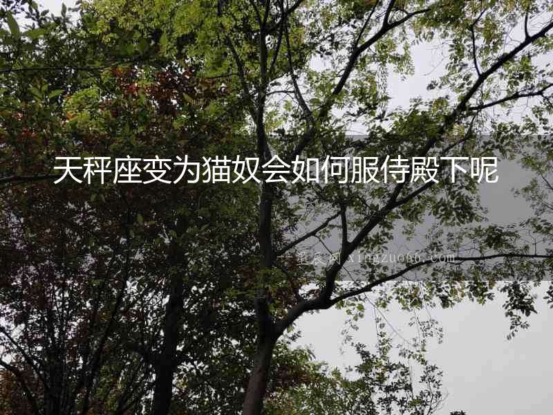 天秤座變?yōu)樨埮珪绾畏痰钕履? alt=
