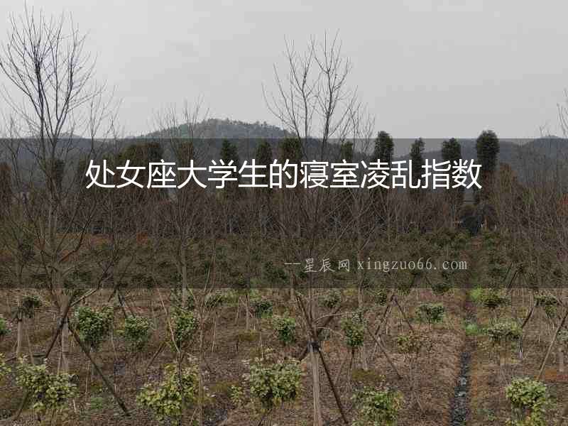 處女座大學生的寢室凌亂指數(shù)