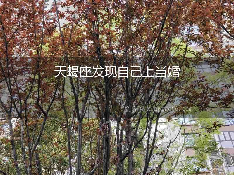 天蝎座發(fā)現(xiàn)自己上當(dāng)婚