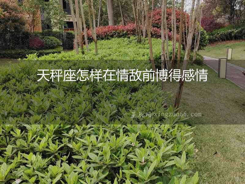 天秤座怎樣在情敵前博得感情