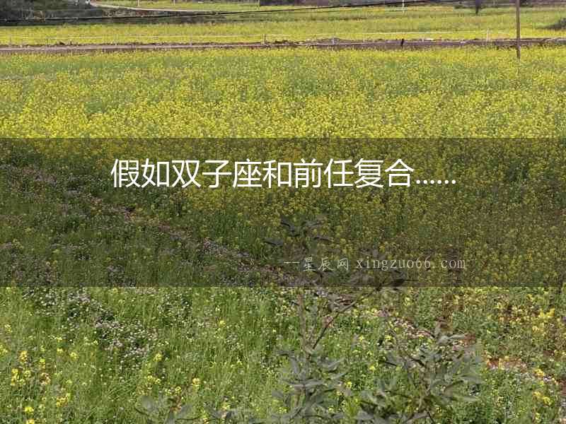 假如雙子座和前任復(fù)合......