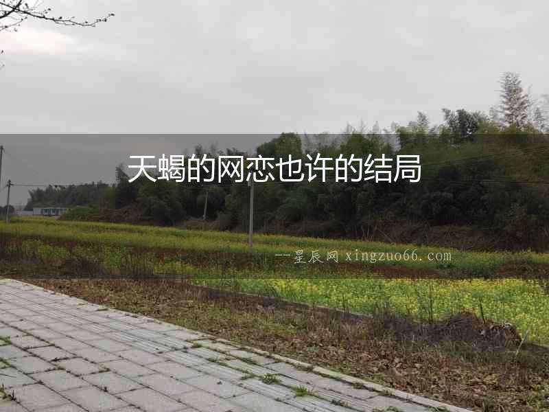 天蝎的網戀也許的結局