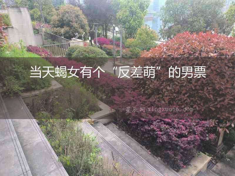 當(dāng)天蝎女有個(gè)“反差萌”的男票