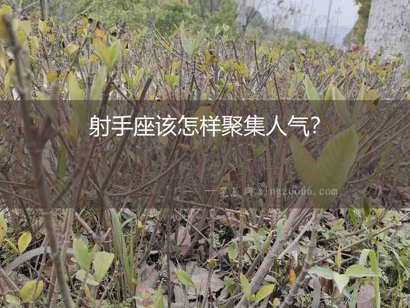 射手座該怎樣聚集人氣？