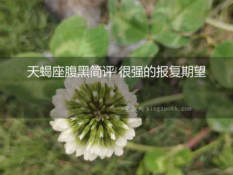 天蝎座腹黑簡評 很強的報復期望