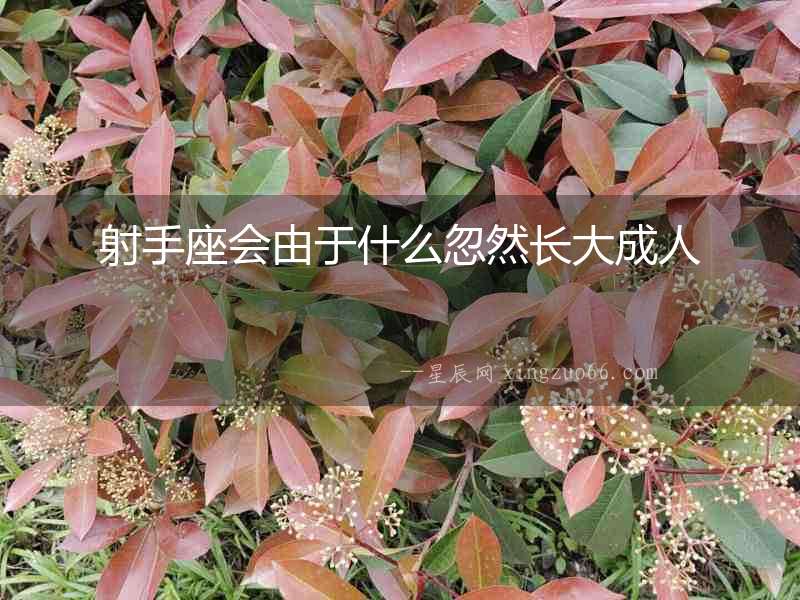 射手座會由于什么忽然長大成人