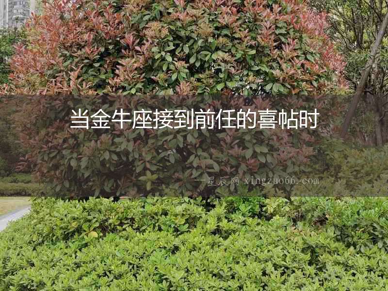 當金牛座接到前任的喜帖時