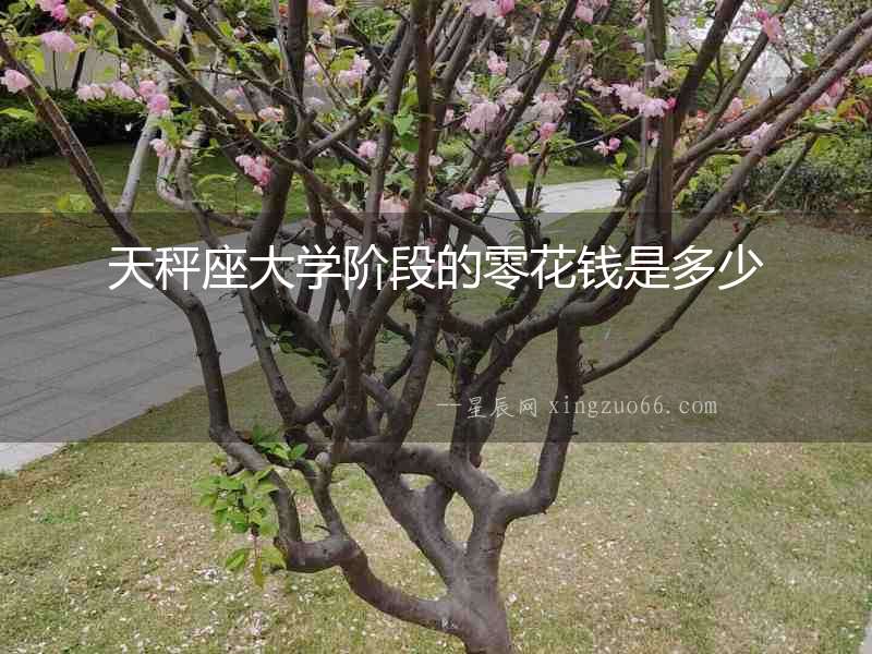 天秤座大學(xué)階段的零花錢是多少