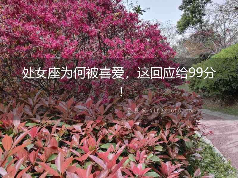 處女座為何被喜愛，這回應給99分！