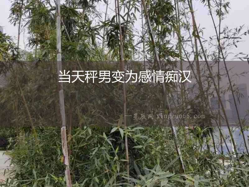 當天秤男變為感情癡漢