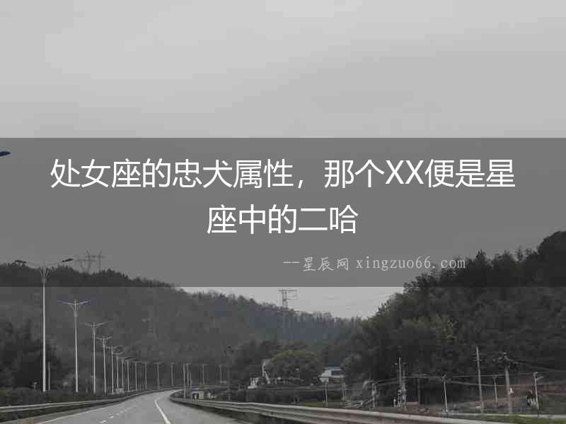 處女座的忠犬屬性，那個XX便是星座中的二哈