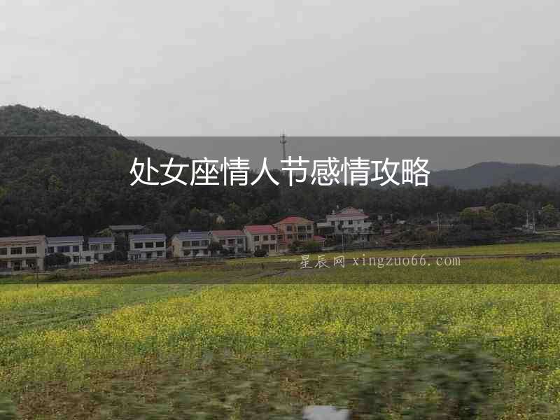 處女座情人節感情攻略