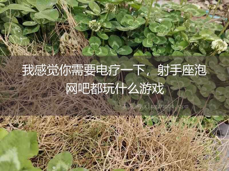 我感覺你需要電療一下，射手座泡網(wǎng)吧都玩什么游戲