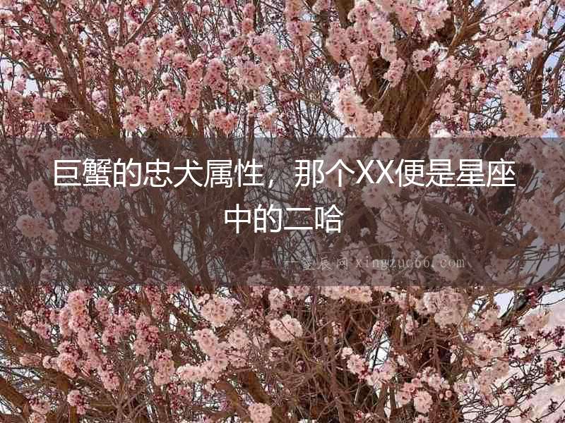 巨蟹的忠犬屬性，那個XX便是星座中的二哈